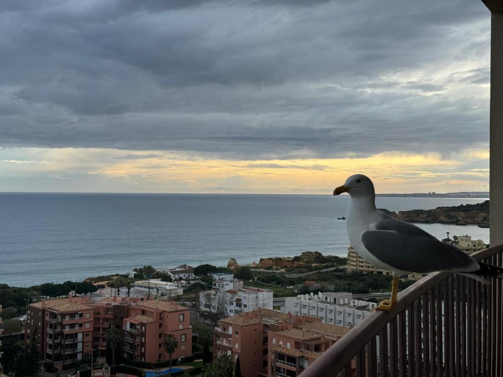 Sofiamar Holidays - Clube Praia Mar Portimao Bagian luar foto